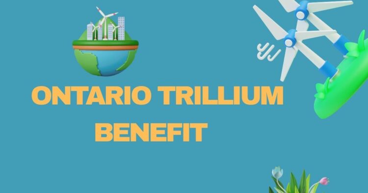 Does Everyone get Ontario Trillium Benefit? Full Details Inside
